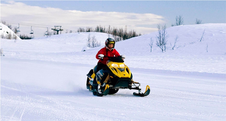 snow scooter / snowmobile